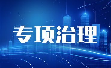专项治理